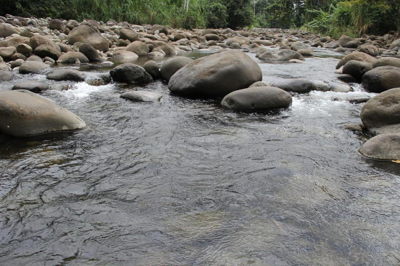 Horquetas River Lodge Sarapiquí Esterno foto