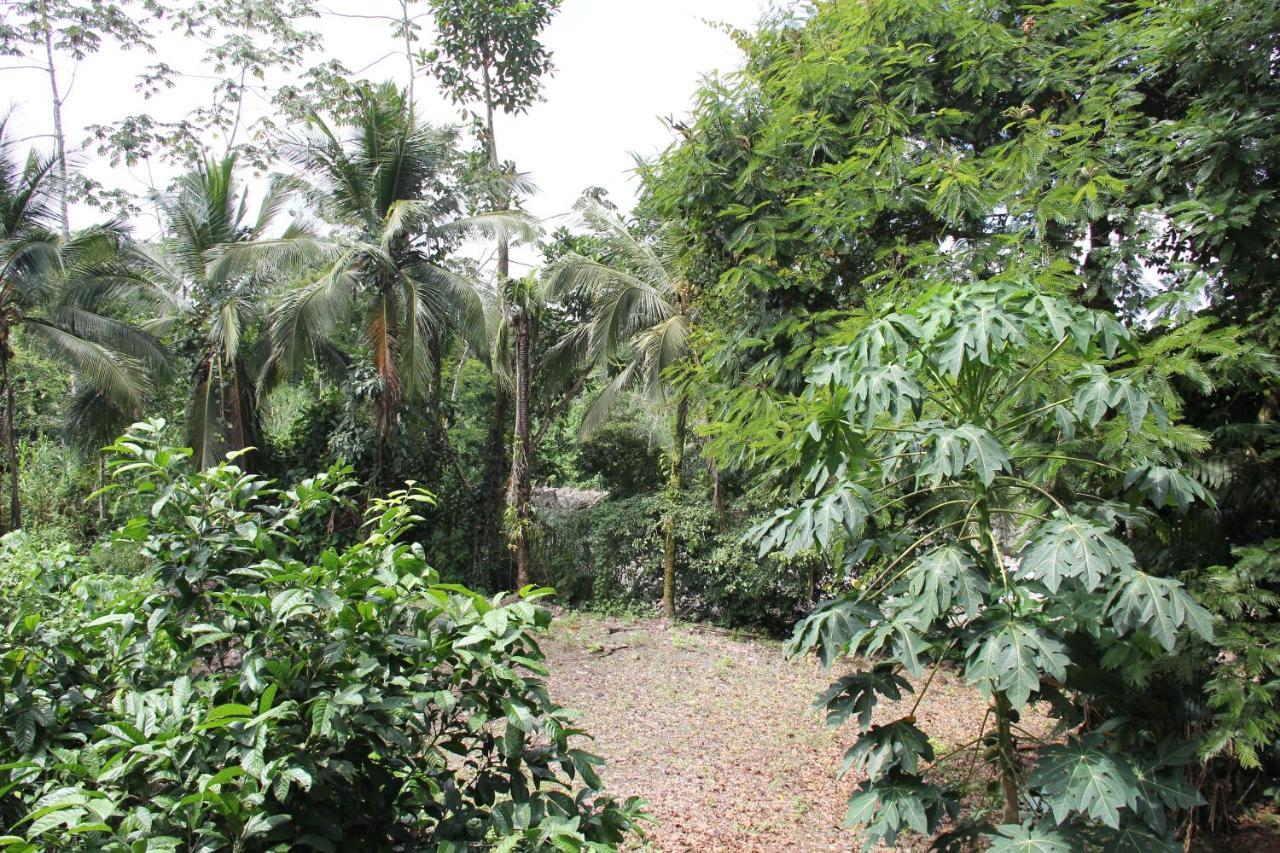 Horquetas River Lodge Sarapiquí Esterno foto