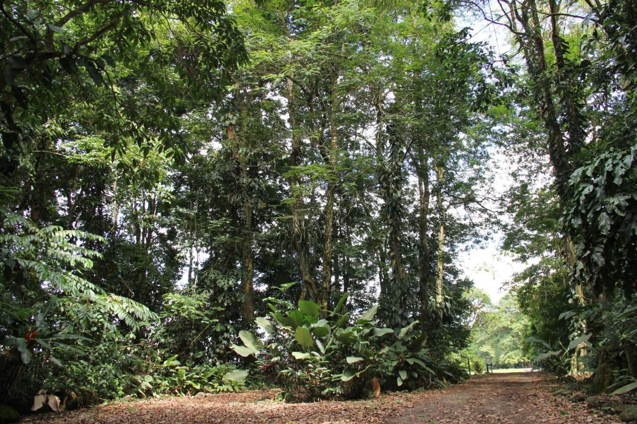 Horquetas River Lodge Sarapiquí Esterno foto