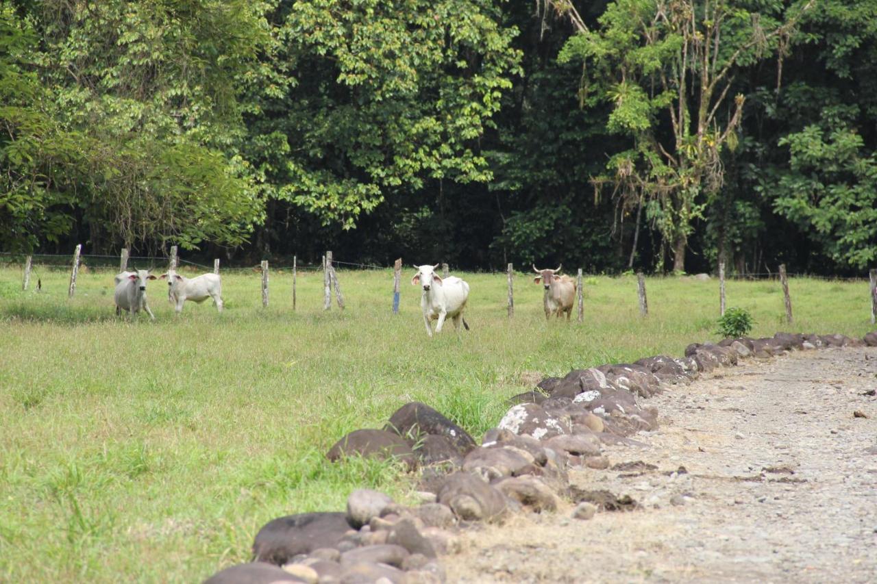 Horquetas River Lodge Sarapiquí Esterno foto